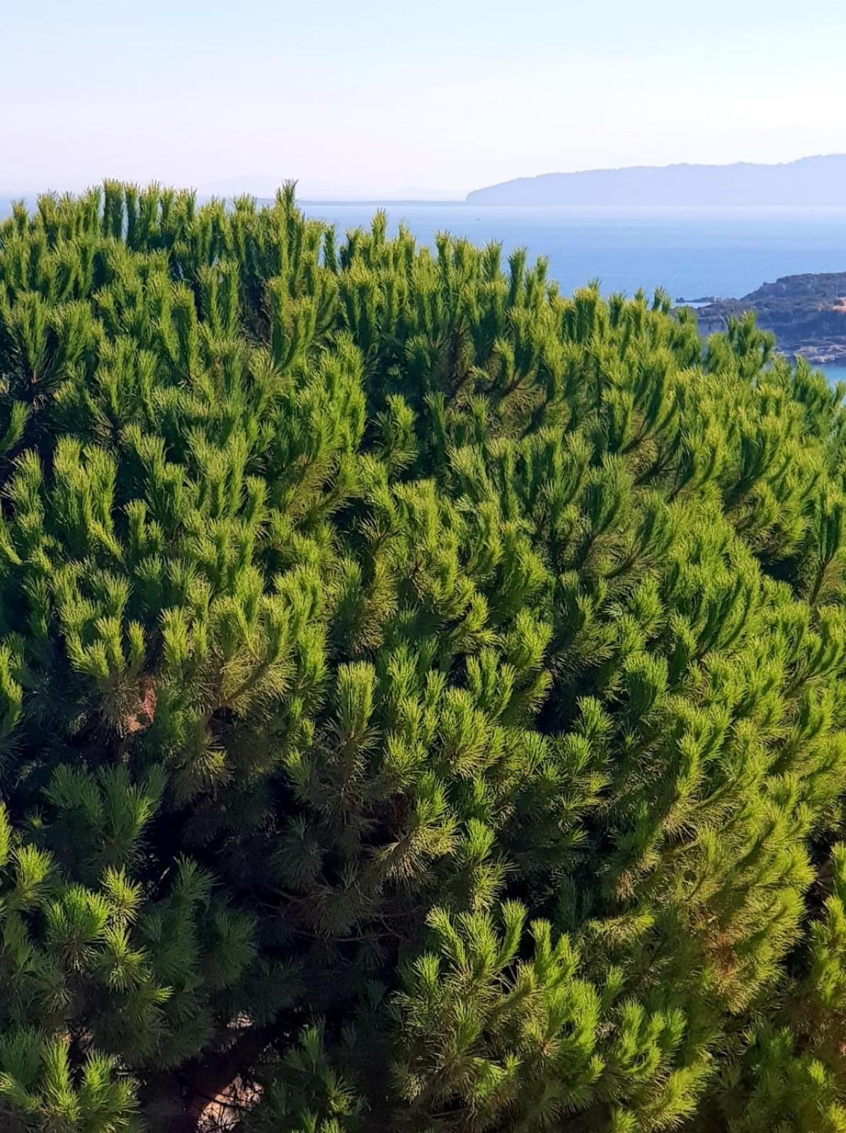 North Wind Hotels - Karaburun Карабурун Екстериор снимка